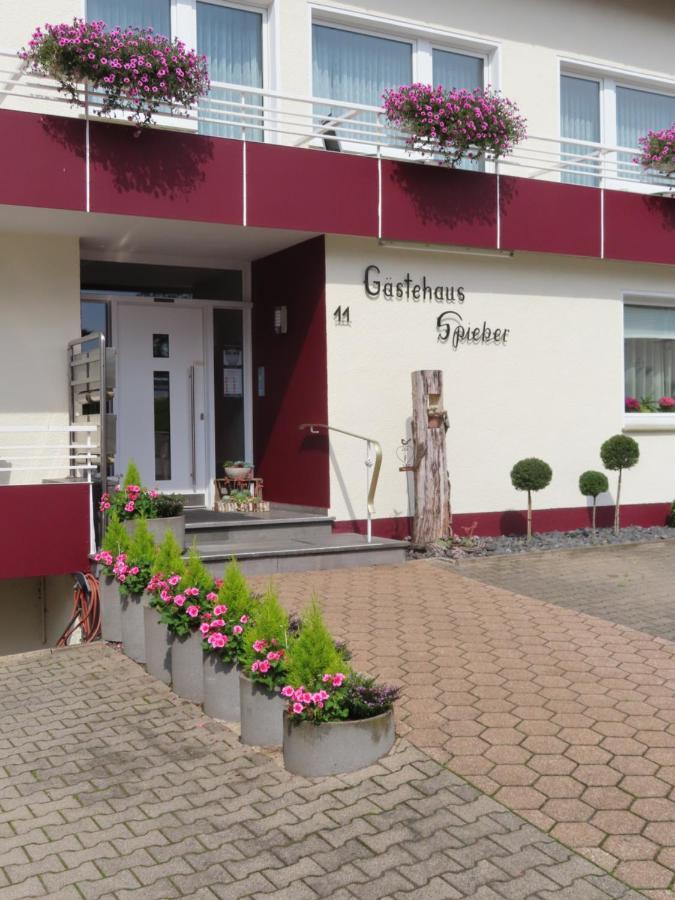 Gastehaus Spieker Hotel Horn-Bad Meinberg Exterior foto